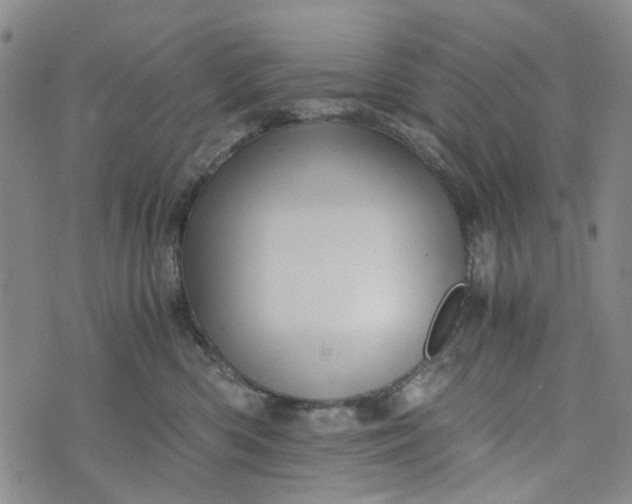 X0000076310426200610161623