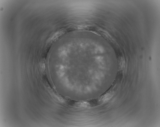 X0000076310427200610161623