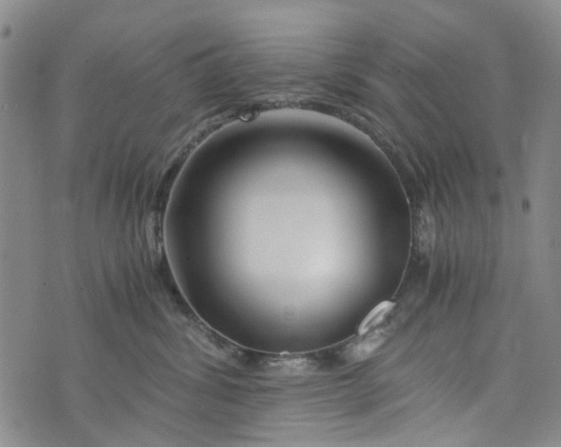 X0000076310428200610161623