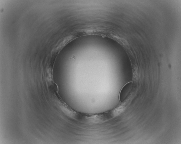 X0000076310430200610161623