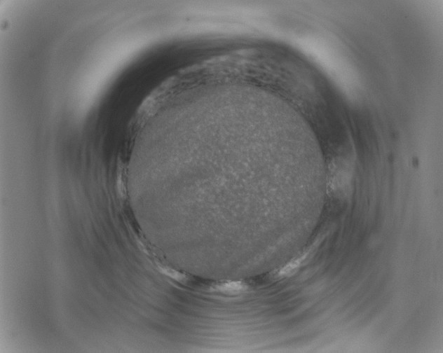 X0000076310431200610161623