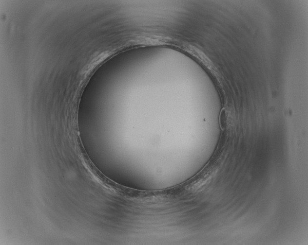 X0000076310433200610161623