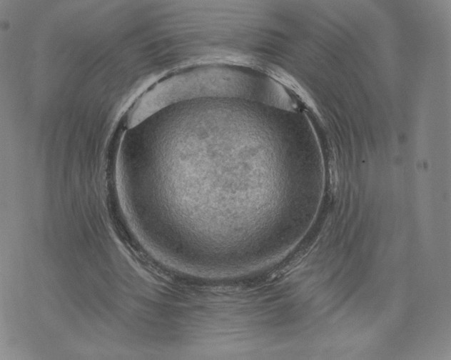 X0000076310436200610161623