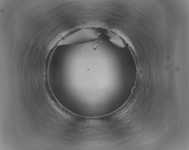 X0000076310437200610161623