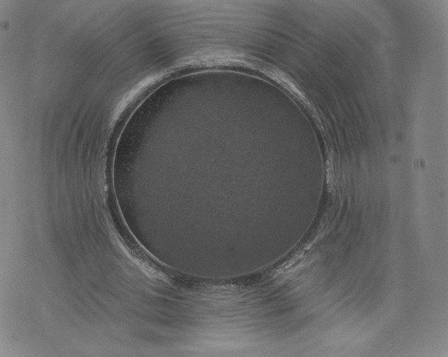 X0000076310438200610161623