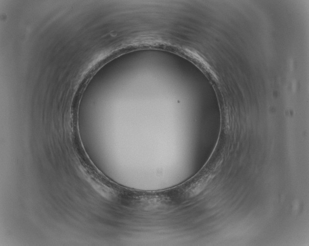 X0000076310439200610161623