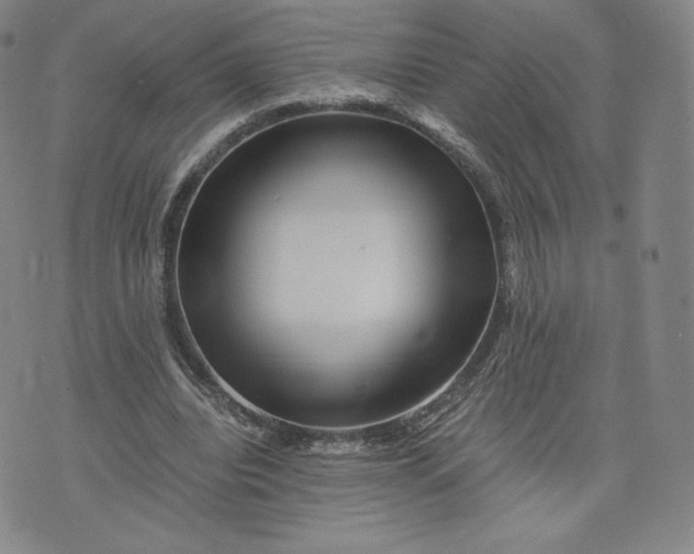 X0000076310440200610161623