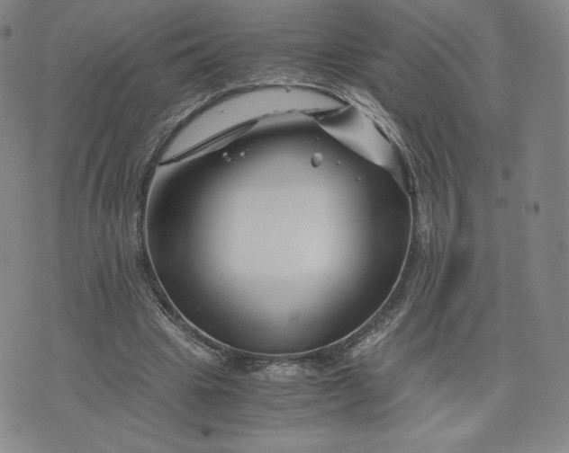 X0000076310441200610161623