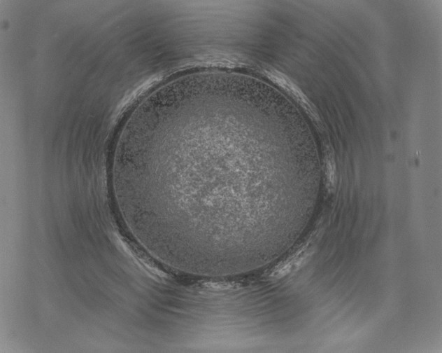 X0000076310442200610161623