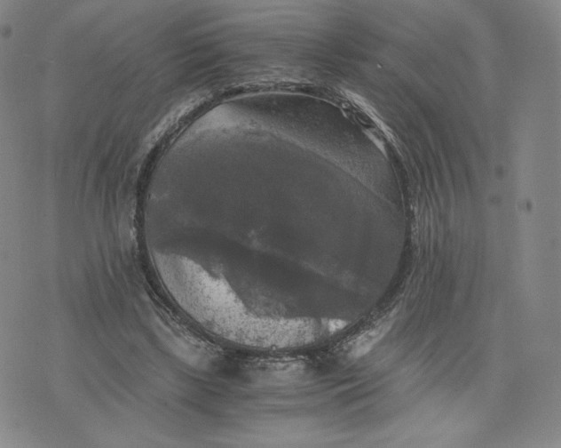 X0000076310443200610161623