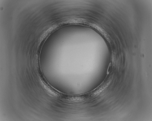 X0000076310445200610161623