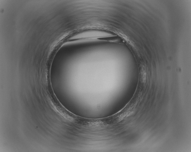 X0000076310446200610161623