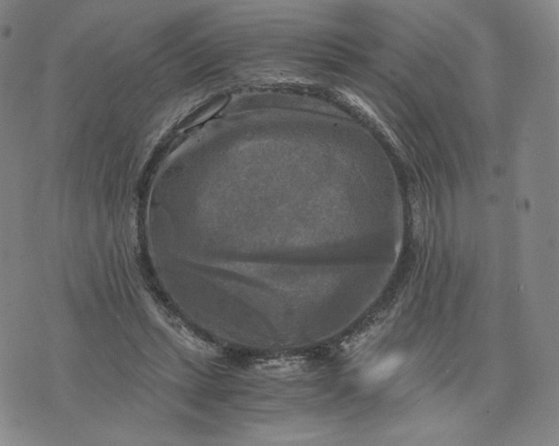 X0000076310447200610161623