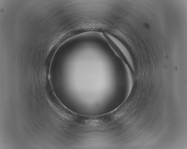 X0000076310448200610161623