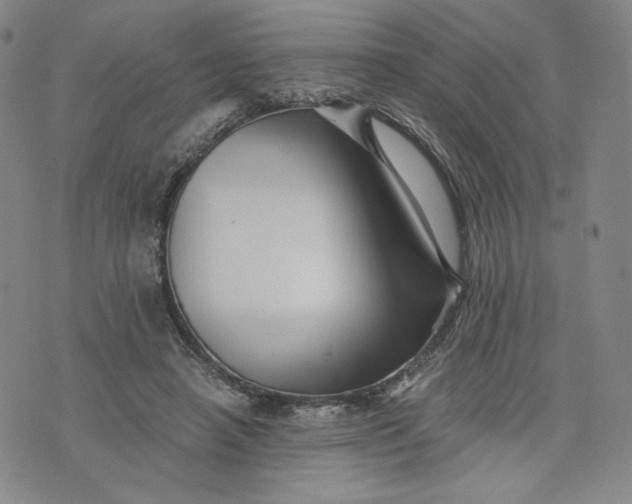 X0000076310450200610161623