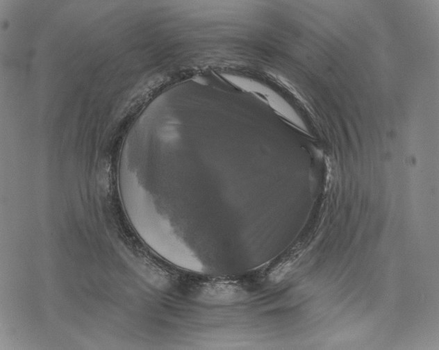 X0000076310451200610161623