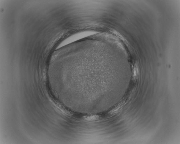 X0000076310452200610161623