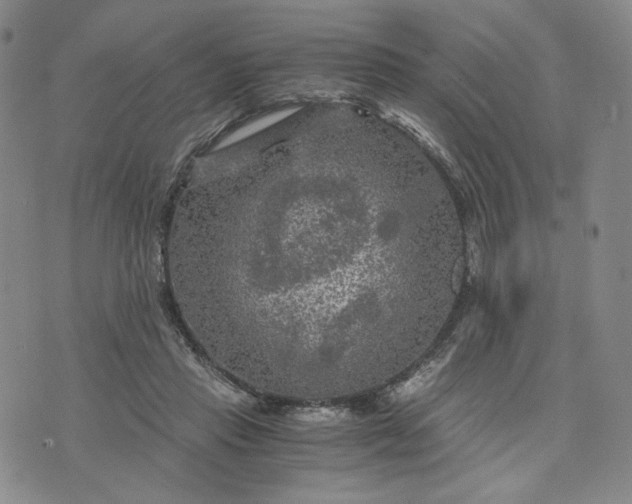 X0000076310453200610161623