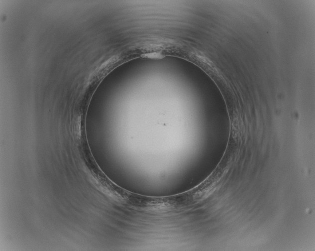 X0000076310454200610161623