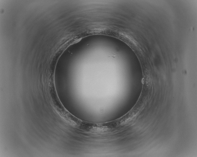 X0000076310455200610161623