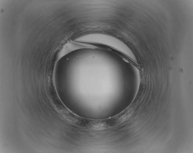 X0000076310456200610161623