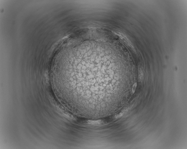 X0000076310457200610161623