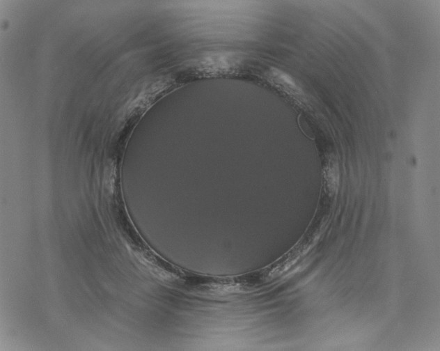 X0000076310458200610161623