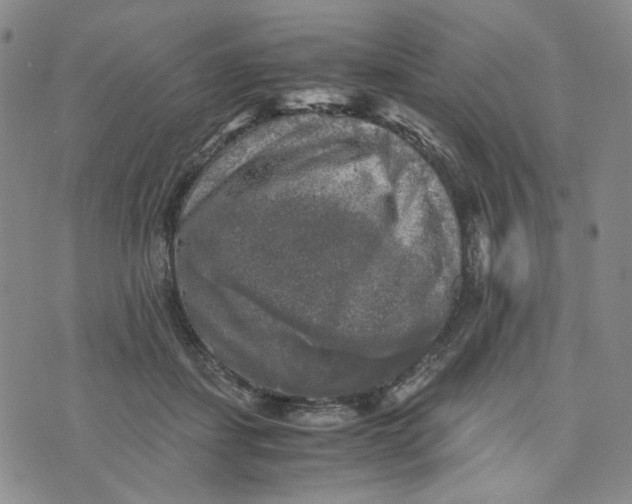 X0000076310459200610161623