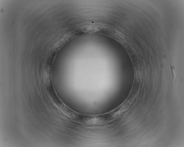 X0000076310460200610161623