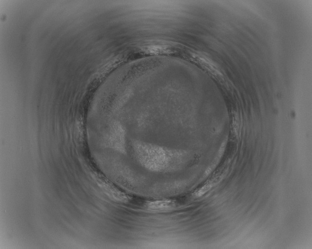 X0000076310461200610161623