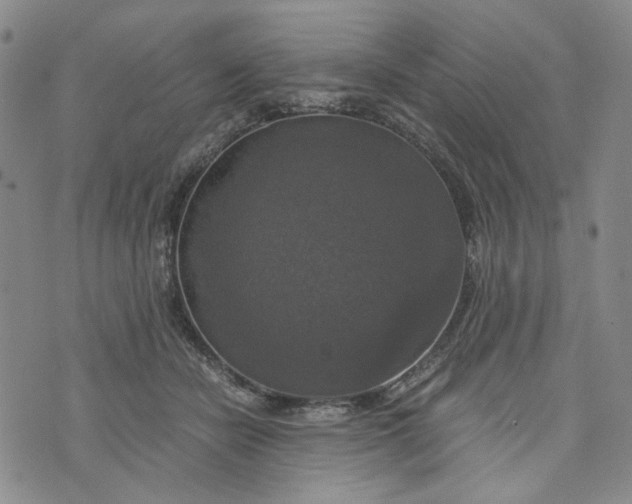 X0000076310462200610161623