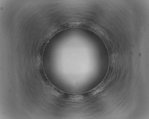 X0000076310463200610161623