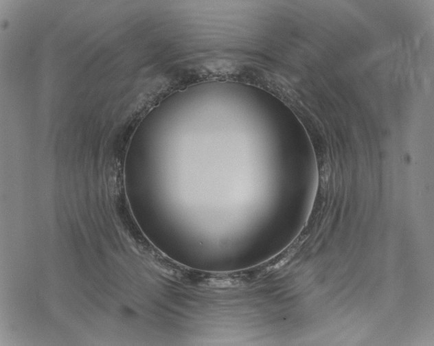 X0000076310464200610161623