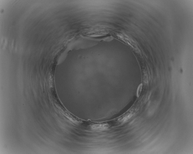 X0000076310465200610161623