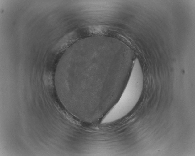 X0000076310466200610161623