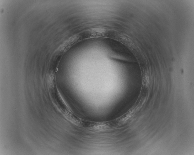 X0000076310468200610161623