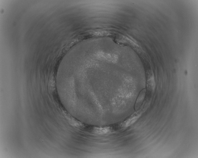 X0000076310469200610161623