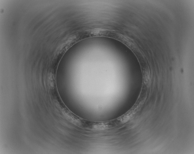 X0000076310470200610161623