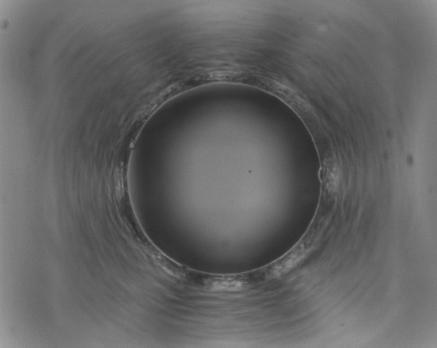 X0000076310471200610161623