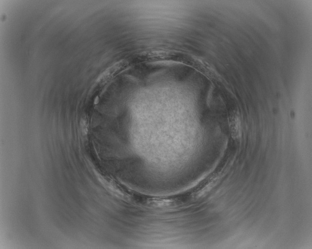 X0000076310472200610161623