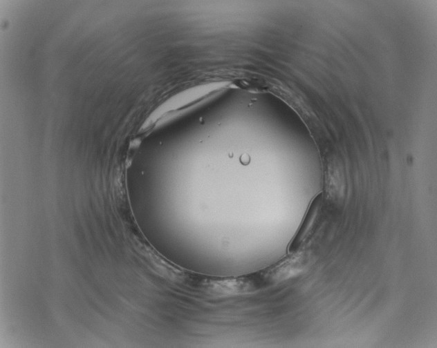 X0000076310473200610161623