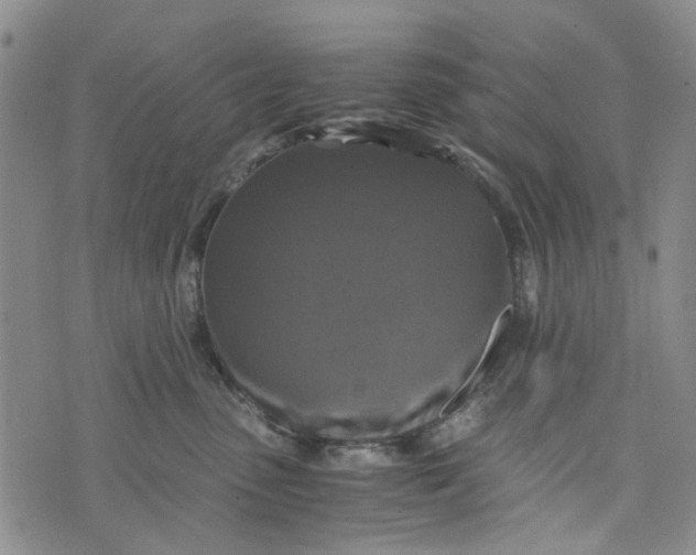 X0000076310475200610161623