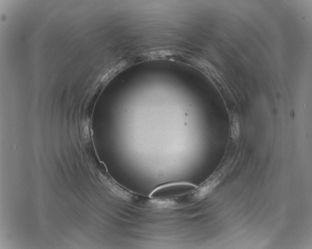 X0000076310477200610161623