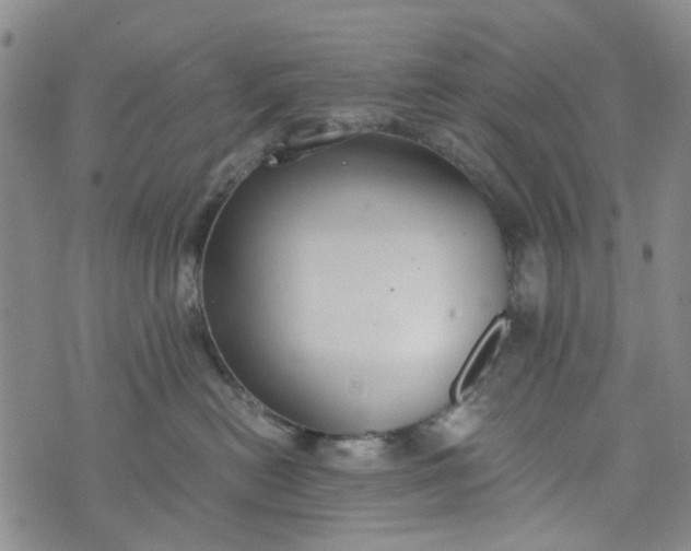 X0000076310478200610161623