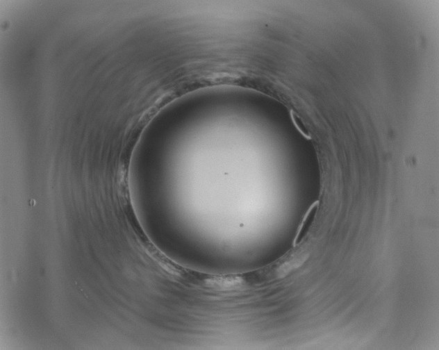 X0000076310480200610161623