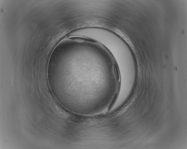 X0000076310481200610161622