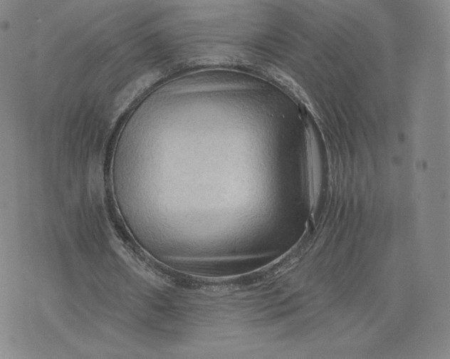 X0000076310482200610161622