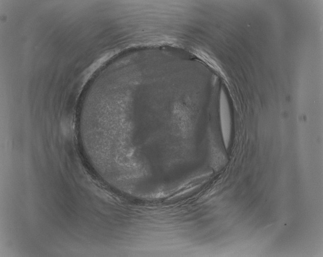 X0000076310483200610161622