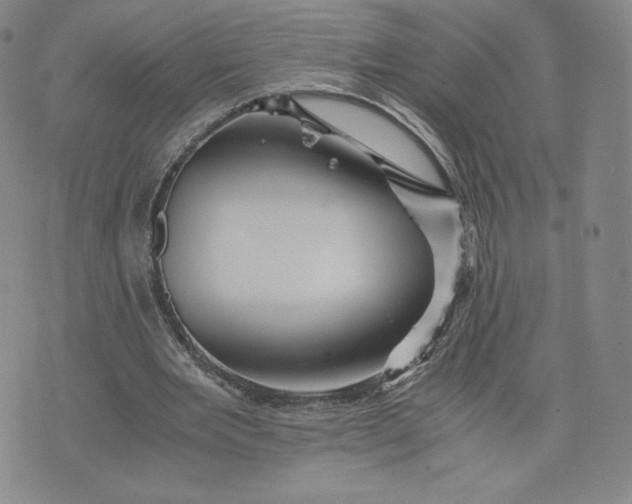 X0000076310485200610161622