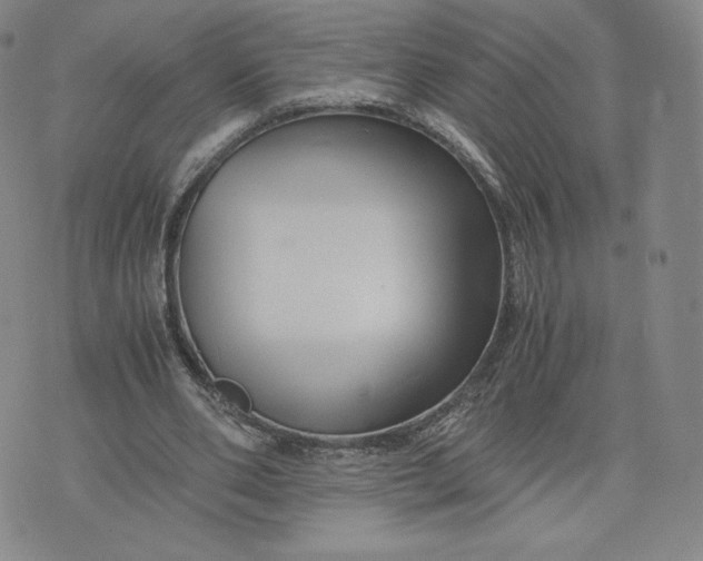 X0000076310486200610161622